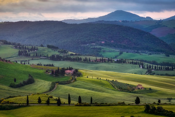 Fototapeta na wymiar View of Val d'Orcia in Tuscany