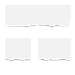 Realistic torn paper pieces, isolated on white background. Vector illustration