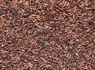 Close up, purple long rice, grains of Thai (Riceberry) rice back