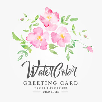 Watercolor floral background with pink wild roses