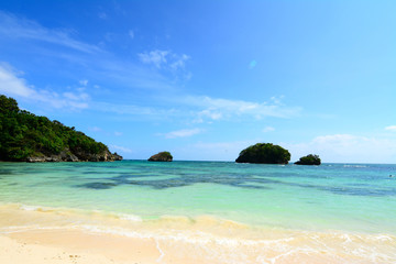 Fototapeta na wymiar Untouched tropical beach.