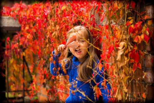 little girl on a beautiful background of autumn wild grapes