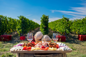 Traditional food plate with wine and vineyards in the background