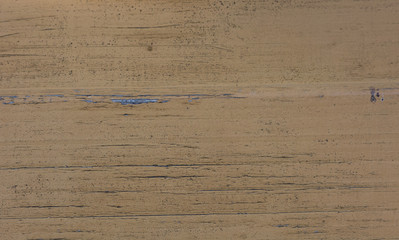 Sand colored brown wood texture. Abstract background