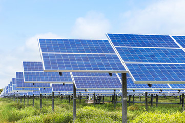 solar panels in solar power station   © Soonthorn