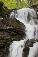 Fototapeta premium whisper falls