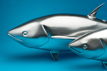 The sham fish in the ocean.