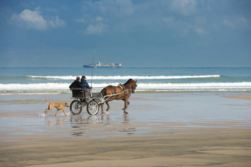 attelage sur la plage