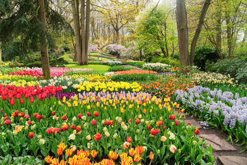 Colourful Tulips Flowerbeds and Path in an Spring Formal Garden © neirfy