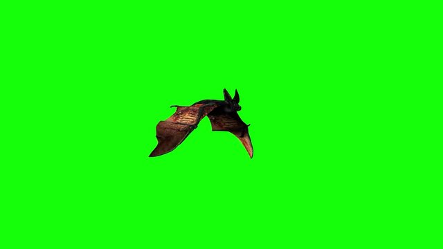 bat are flying on a green background of Halloween  render 3D