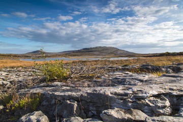 Fototapeta na wymiar Burren National Park