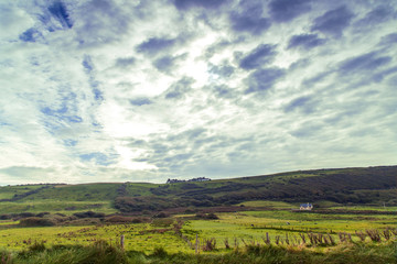 Landschaft mit Weiden in Irland