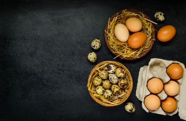 Eggs with Copy Space
