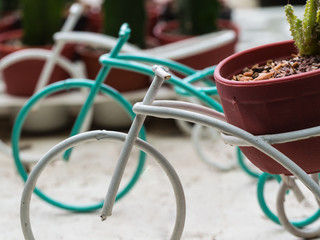 Bicycle Rickshaws with Cactus Flowerpot