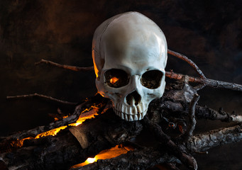 Halloween human skull with wood fire