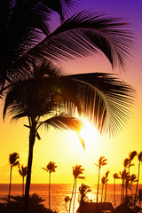 Fototapeta na wymiar Coconut palm trees against colorful sunset