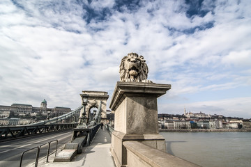 Fototapeta na wymiar Lion on the Szechenyi Chain Bridge in Budapest, Hungary.