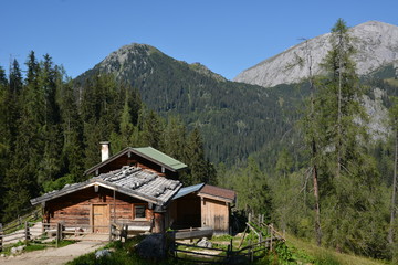 Fototapeta na wymiar Hut in german alps with trees