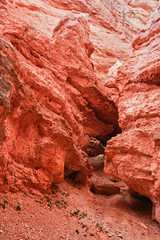 View from insise of Bryce Canyon.