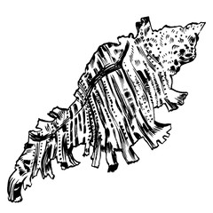 Sea shells vector monochrome illustration texture background