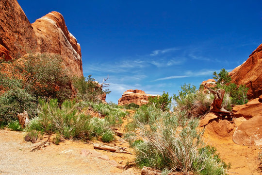Sunny day in Arches Canyon