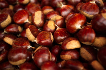 Castagne