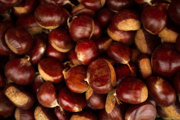 Castagne