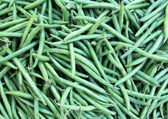 fagilini freschi su banco mercato--- Fresh green French bean background the counter f