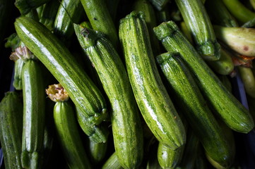 Zucchine verdi