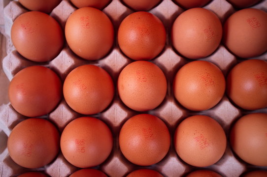 uova di gallina