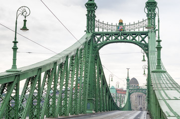 Fototapeta premium Freedom Bridge in Budapest, Hungary.