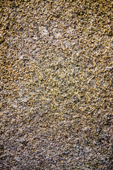 Brown grungy wall Sandstone surface background