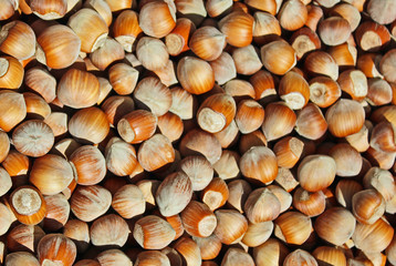 sfondo di nocciole raggruppate  hazelnuts background texture closeup many