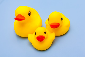 yellow duck family toy for kids play on blue background