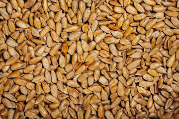 background of the yellow roasted sunflower seeds