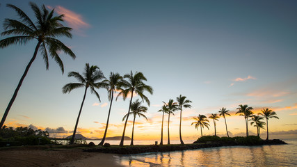Obraz na płótnie Canvas Hawaiian Beach Sunrise
