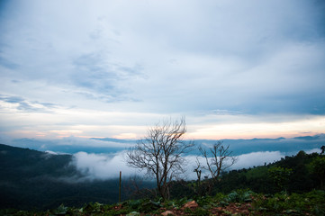 Phu Chee Fah, green mountains in Chiang-Rai.