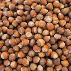 hazelnuts photo, hazelnuts background, raw nuts, nuts shell, hazelnuts pile, hazelnuts for sale, hazelnuts macro