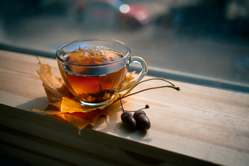 Autumn Still Life: Tea on maple leaves on a wooden table near the window. The sun's rays on a cup of brewed tea. Cup of hot tea on a sunny day on a window background.
