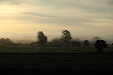 Fototapeta na wymiar Sunrise over field