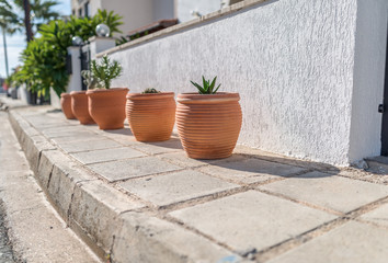 Plant Pots