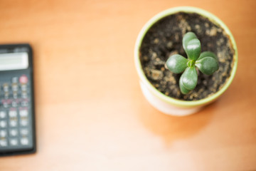 Office desk table with computer, supplies, flower. Copy space for text