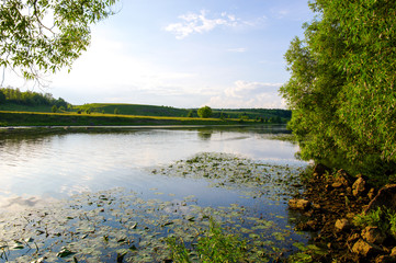 trees and a river