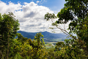 Fototapeta na wymiar View from Mount Whitfield in Cairns, Australia