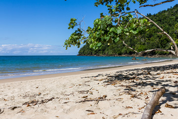 Beautiful Beach Etty Bay in Australia