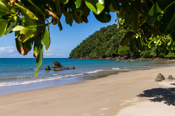 Beautiful Beach Etty Bay in Australia