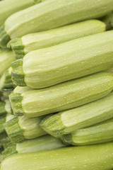 Fresh cropped green Zucchini; Offer in the vegetable market; Summer squash; It can be used as a food background (selective focus)