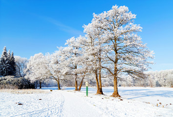 Winter im Speckenbütteler Park in Bremerhaven