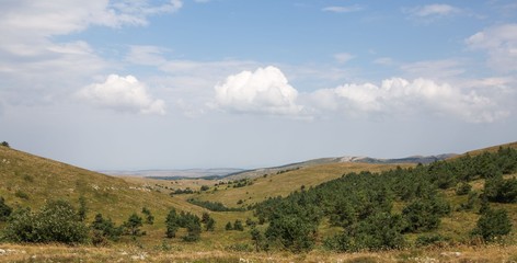 Green hills with trees