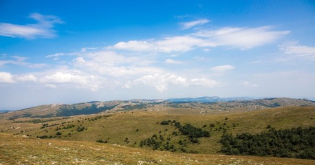 Fototapeta premium Green hills with trees